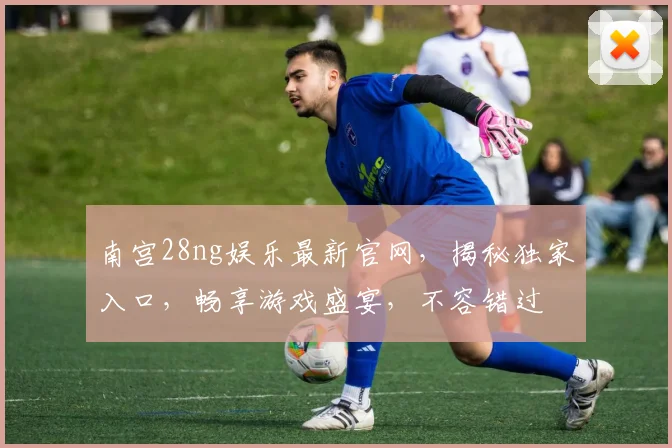 南宫28ng娱乐最新官网，揭秘独家入口，畅享游戏盛宴，不容错过