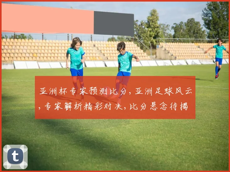 亚洲杯专家预测比分,亚洲足球风云,专家解析精彩对决,比分悬念待揭晓,谁将问鼎冠军
