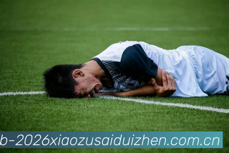 奖项证书